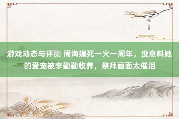 游戏动态与评测 周海媚死一火一周年，没意料她的爱宠被李勤勤收养，祭拜画面太催泪