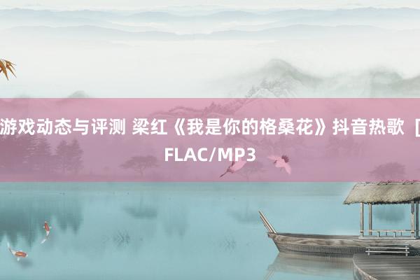 游戏动态与评测 梁红《我是你的格桑花》抖音热歌  [FLAC/MP3